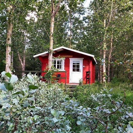 Bakkakot 3 Cozy Cabin In The Woods Акурейри Екстериор снимка