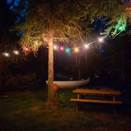 Bakkakot 3 Cozy Cabin In The Woods Акурейри Екстериор снимка