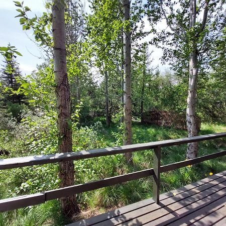 Bakkakot 3 Cozy Cabin In The Woods Акурейри Екстериор снимка