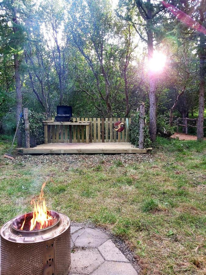 Bakkakot 3 Cozy Cabin In The Woods Акурейри Екстериор снимка
