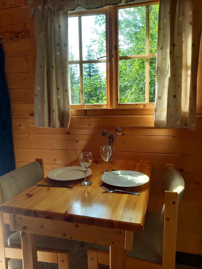 Bakkakot 3 Cozy Cabin In The Woods Акурейри Екстериор снимка