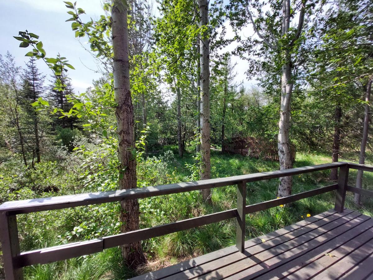 Bakkakot 3 Cozy Cabin In The Woods Акурейри Екстериор снимка